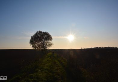 Un temps idéal pour le barbecue