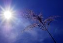 Un long WE sous le soleil sauf samedi et dimanche