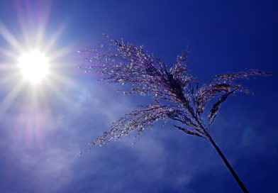 Un long WE sous le soleil sauf dimanche