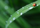 Un léger redoux, mais toujours de la pluie