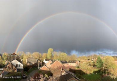 Peut-être un BBQ ce WE pour le début du printemps astronomique