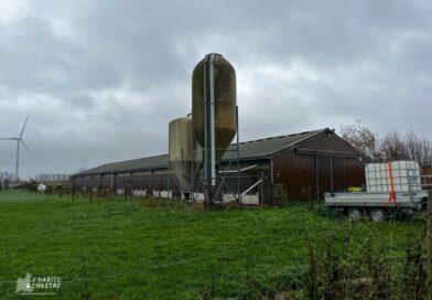 Un cas de grippe aviaire de type H5 découvert à Grand-Leez a des conséquences à Chastre