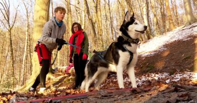 Sarah, chastroise et organisatrice du Canicross du crapaud