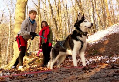 Sarah, chastroise et organisatrice du Canicross du crapaud