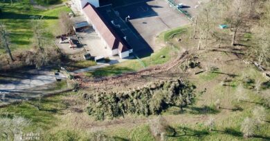 Une centaine d&rsquo;arbres abattus par la commune… sans autorisation…