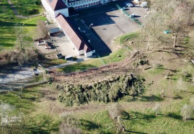 Une centaine d&rsquo;arbres abattus par la commune… sans autorisation…