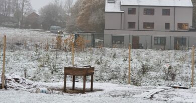 Retour de la fraicheur matinale