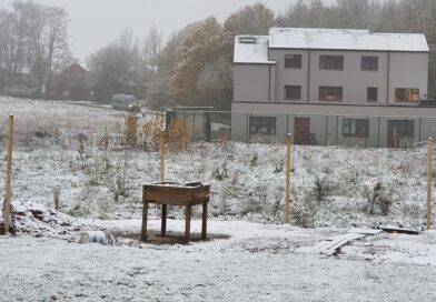 Retour de la fraicheur matinale