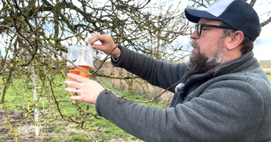 Les apiculteurs chastrois se mobilisent contre le frelon asiatique