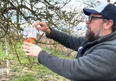 Les apiculteurs chastrois se mobilisent contre le frelon asiatique