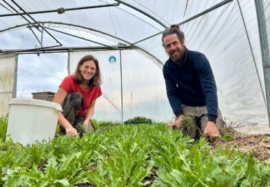 La Terre du Milieu cherche son eau