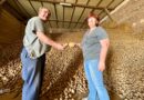 La ferme Warnant contraint de donner 120 tonnes de pommes de terre