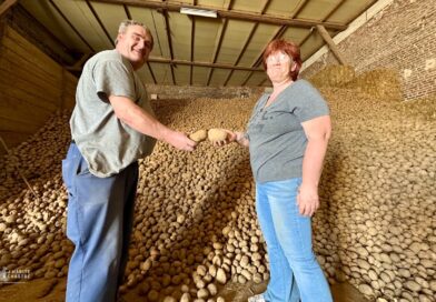 La ferme Warnant contraint de donner 120 tonnes de pommes de terre