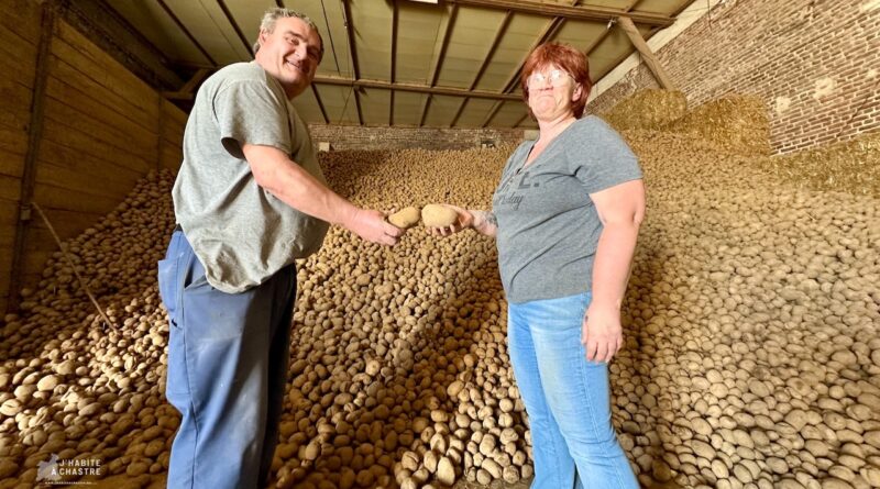 La ferme Warnant contraint de donner 120 tonnes de pommes de terre